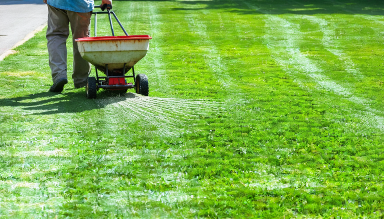 découvrez notre guide complet pour regarnir efficacement votre gazon avec des méthodes éprouvées et des astuces pratiques pour un jardin verdoyant et en pleine santé toute l'année.