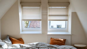 découvrez les avantages du store vénitien velux pour vos fenêtres de toit en 2025 : protection solaire optimale, design moderne et facilité d'installation.