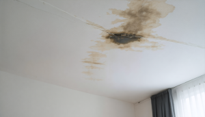 découvrez les étapes essentielles à suivre en cas d'humidité sur le plafond du voisin du dessous. apprenez à identifier les causes, à communiquer efficacement avec votre voisin et à prendre les mesures nécessaires pour résoudre le problème d'humidité. protégez votre logement et maintenez de bonnes relations de voisinage!